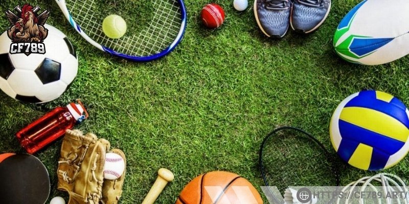 Thiết kế sảnh cá cược thể thao thân thiện