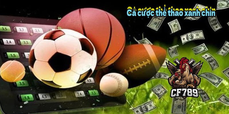 Cá cược thể thao xanh chín