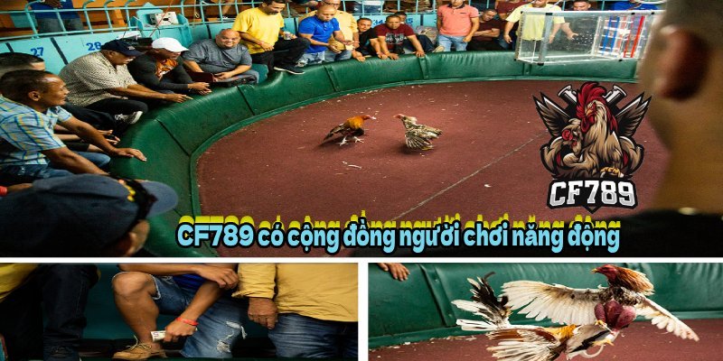 CF789 có cộng đồng người chơi năng động