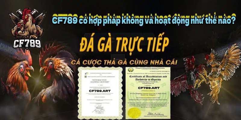 CF789 có hợp pháp không và hoạt động như thế nào?