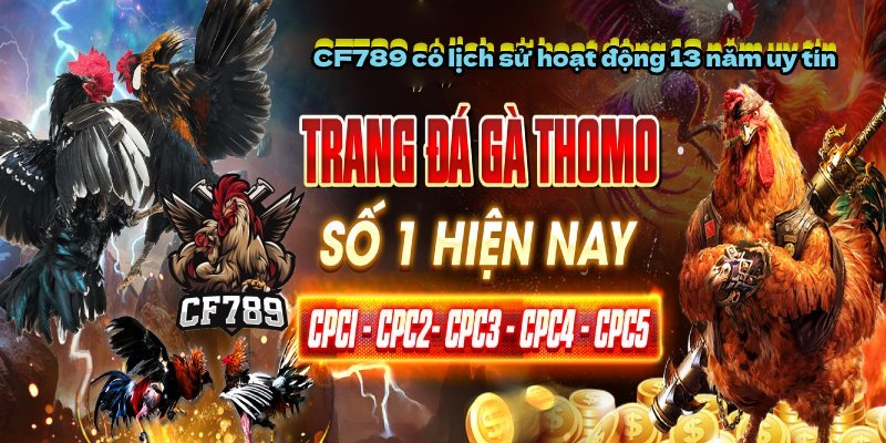 CF789 có lịch sử hoạt động 13 năm uy tín