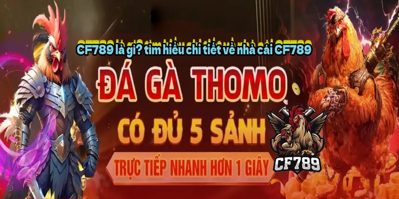 CF789 là gì? tìm hiểu chi tiết về nhà cái CF789 
