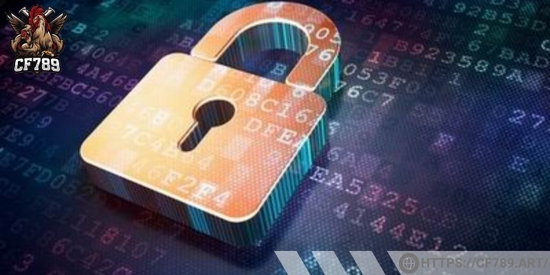 Trách nhiệm của hội viên đối với chính sách bảo mật