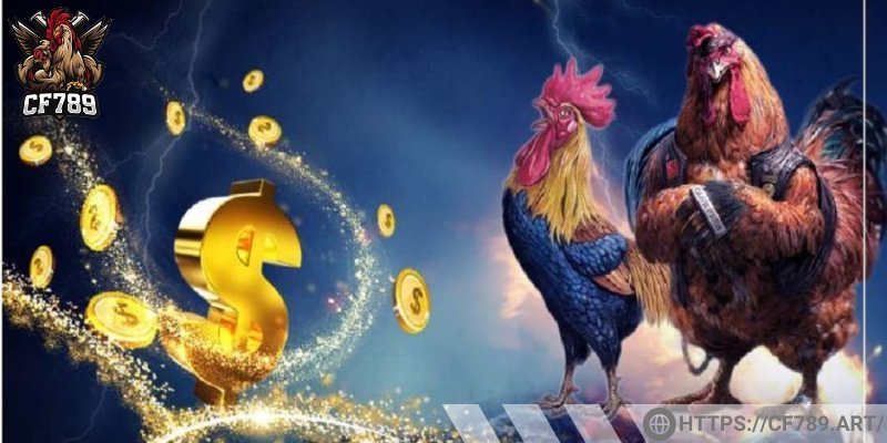 Khái quát về đá gà trực tiếp là gì?