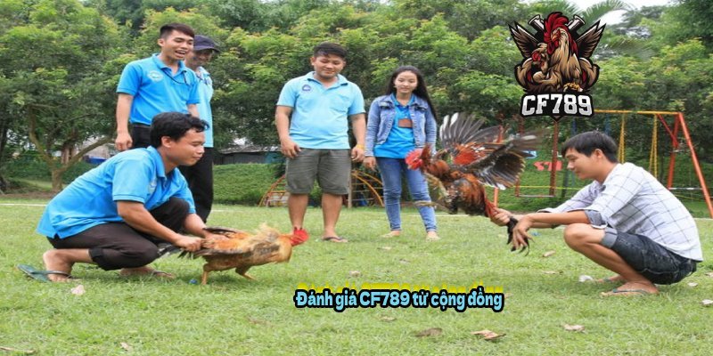 Đánh giá CF789 từ cộng đồng