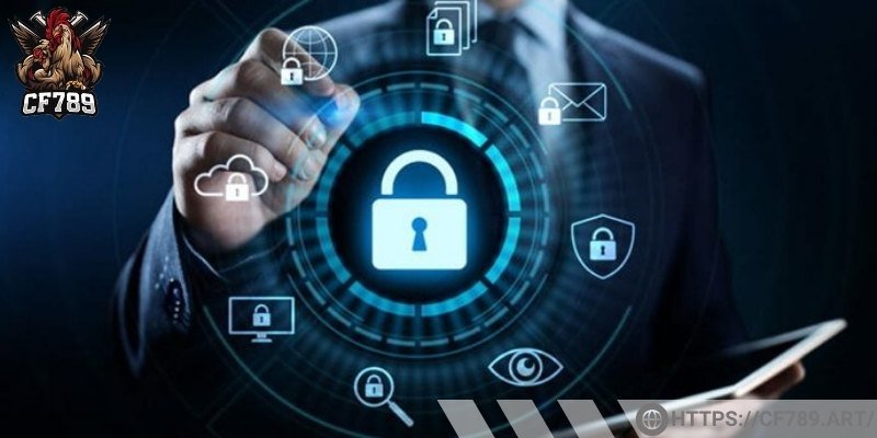 Chính sách bảo mật và quyền riêng tư