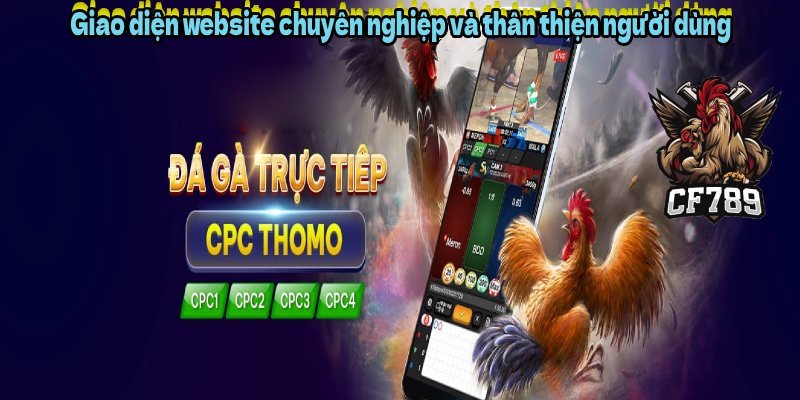 Giao diện website chuyên nghiệp và thân thiện người dùng