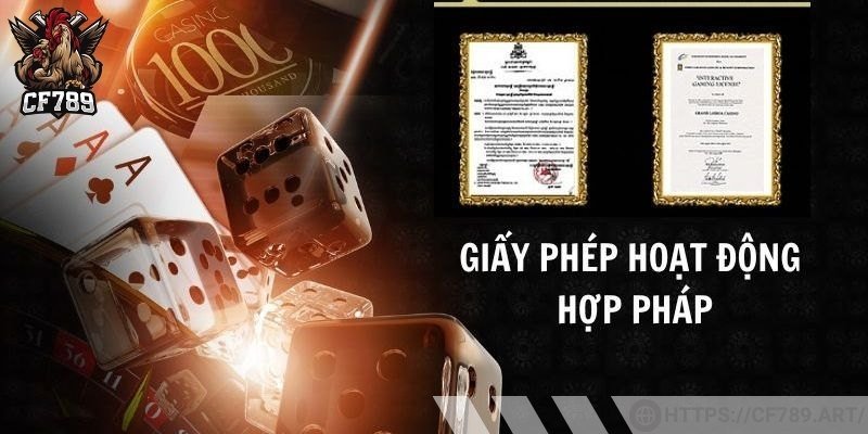 Tổng quan về giấy phép hoạt động CF789