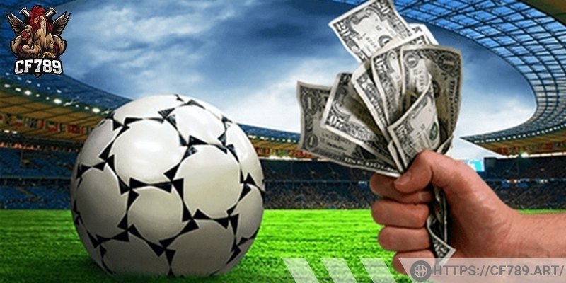 Kèo chấp nửa trái là gì