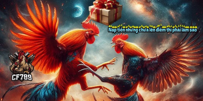 Nạp tiền nhưng chưa lên điểm thì phải làm sao?