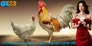 Cá cược đá gà hiện đại – Lối đi mới cho người Việt
